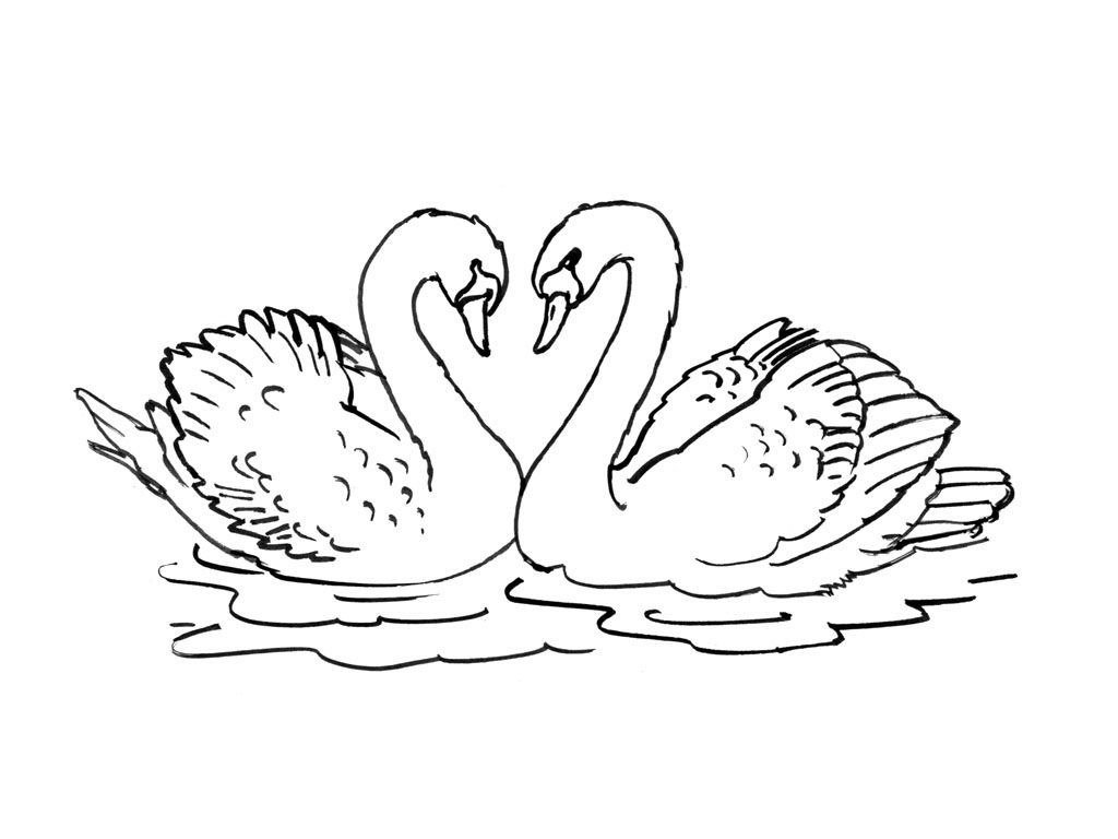 Распечатать картинку лебедь. Лебедь раскраска. Лебедь раскраска для детей. Лебедь рисунок. Рисунок лебедя для раскрашивания.