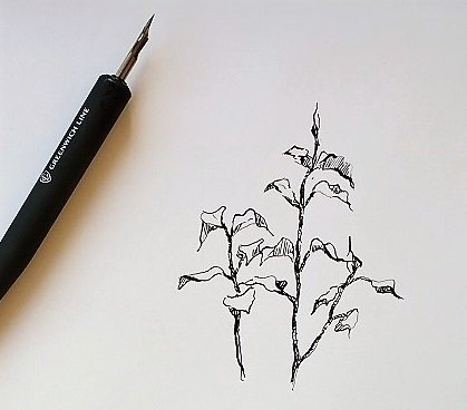 Перо для рисования тушью