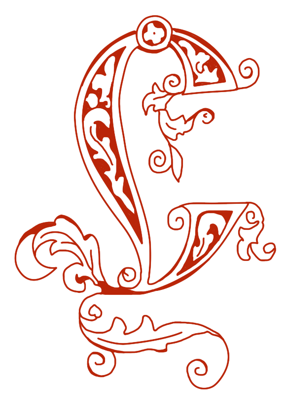  46 