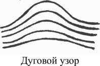 Тип папиллярного узора отпечатка пальца