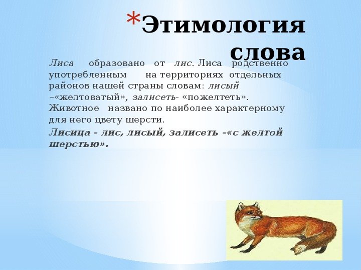 Предложение с названием животного. Происхождение названия лиса. Текст про животных. Лиса этимология. Происхождение слова лиса.