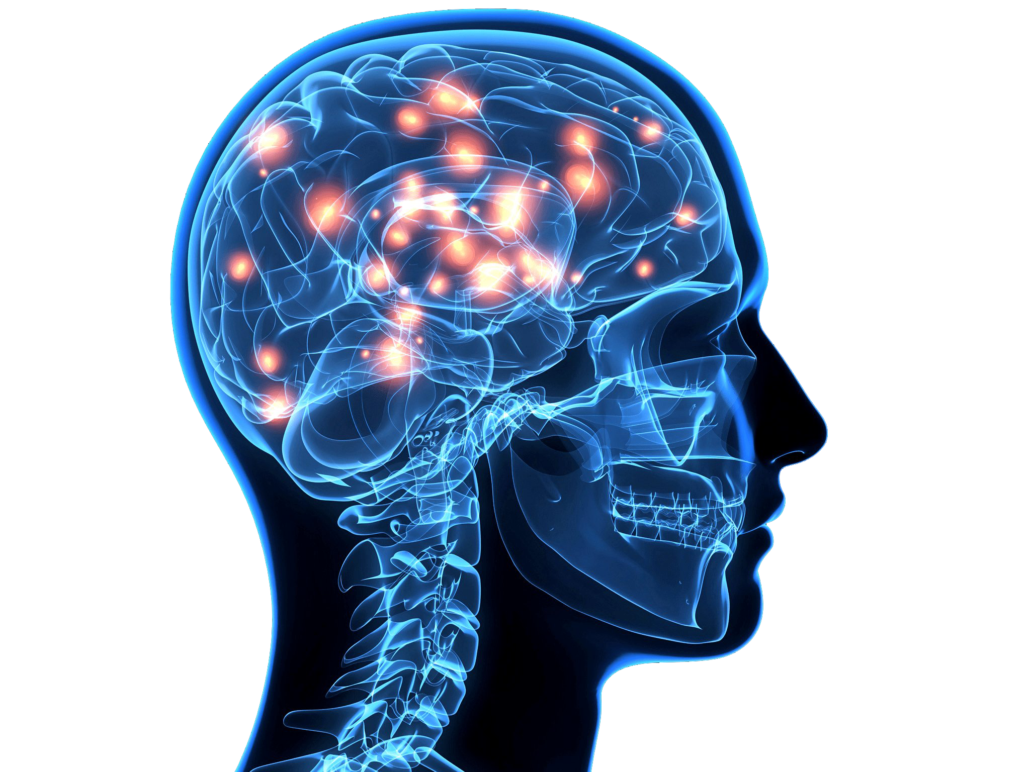 Nervous system brain. Голубой мозг. Мозг человека без фона. Нейроны головного мозга.