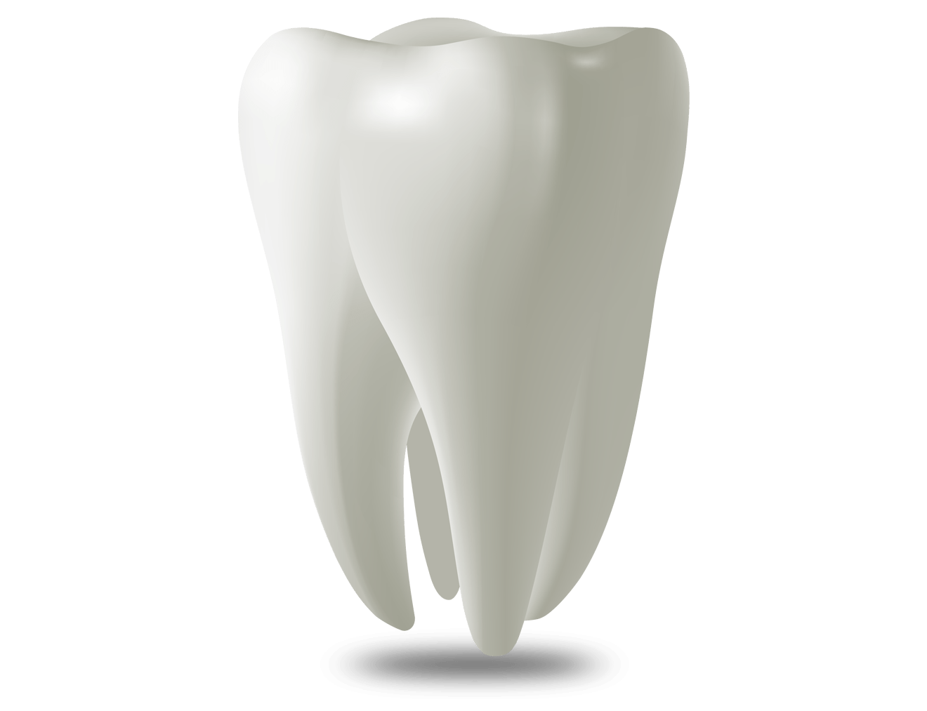 K130 Tooth. Зуб 3d модель. Здоровые зубы. Зуб на белом фоне.