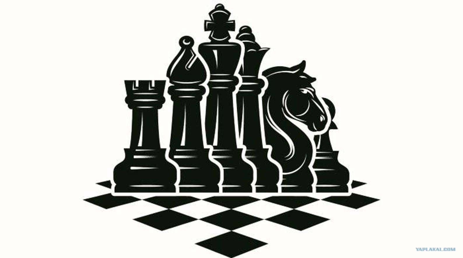 Обои шахматы на стену
