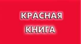 Красивая надпись красная книга