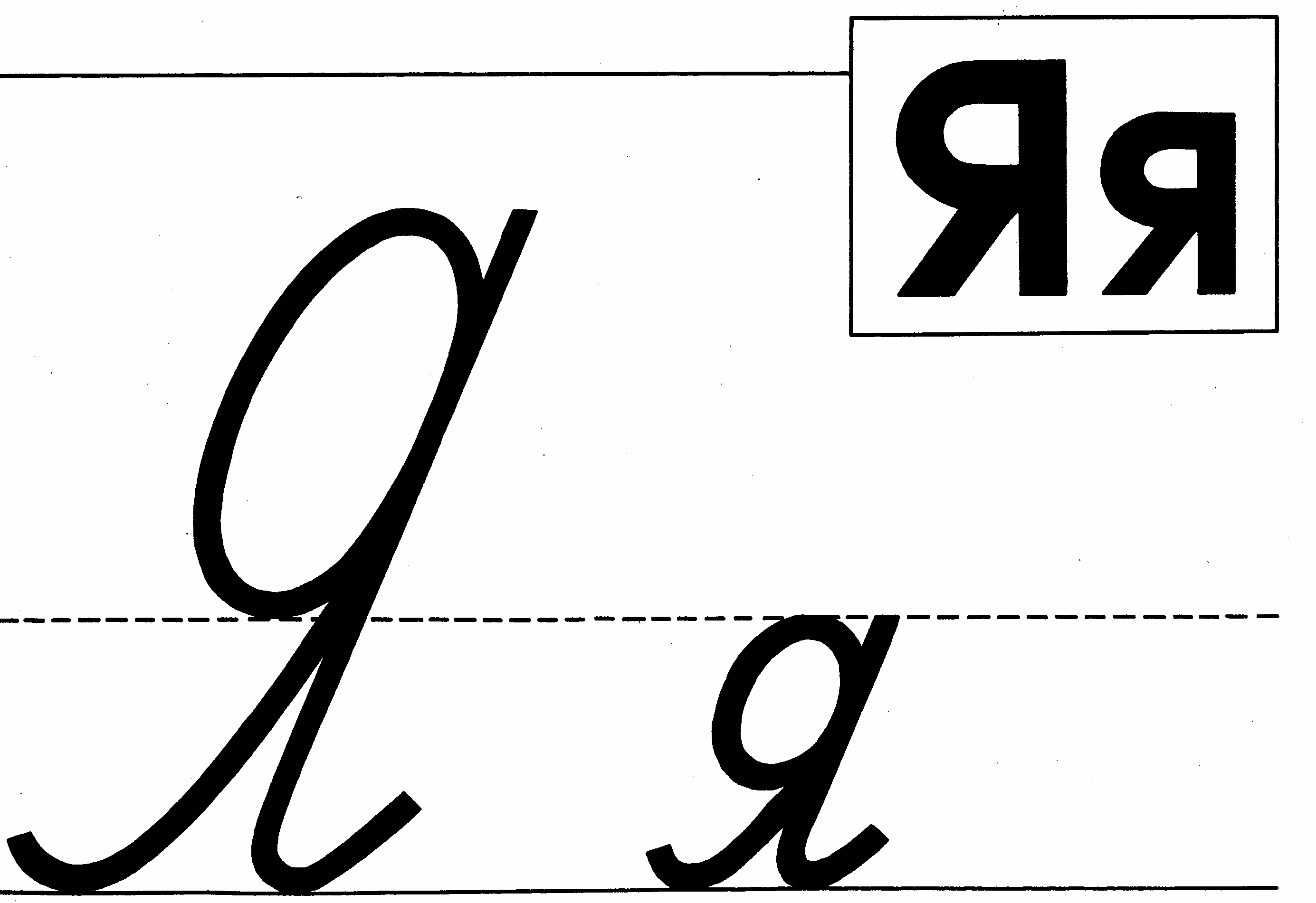  48 