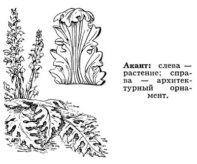 Акант орнамент древней Греции