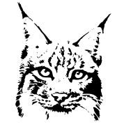 Трафарет для выжигания Рысь