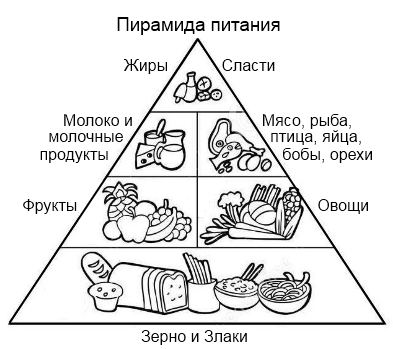 Здоровое питание раскраска