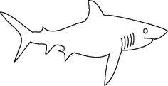 Трафарет акула рисунок (46 фото)