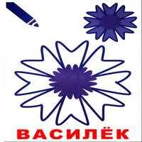 Василек макет