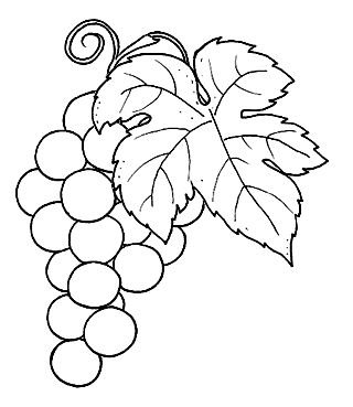 Трафарет виноград рисунок (46 фото)