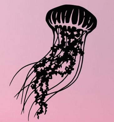 Трафарет медузы (50 фото)