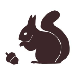 Трафарет силуэта белочки