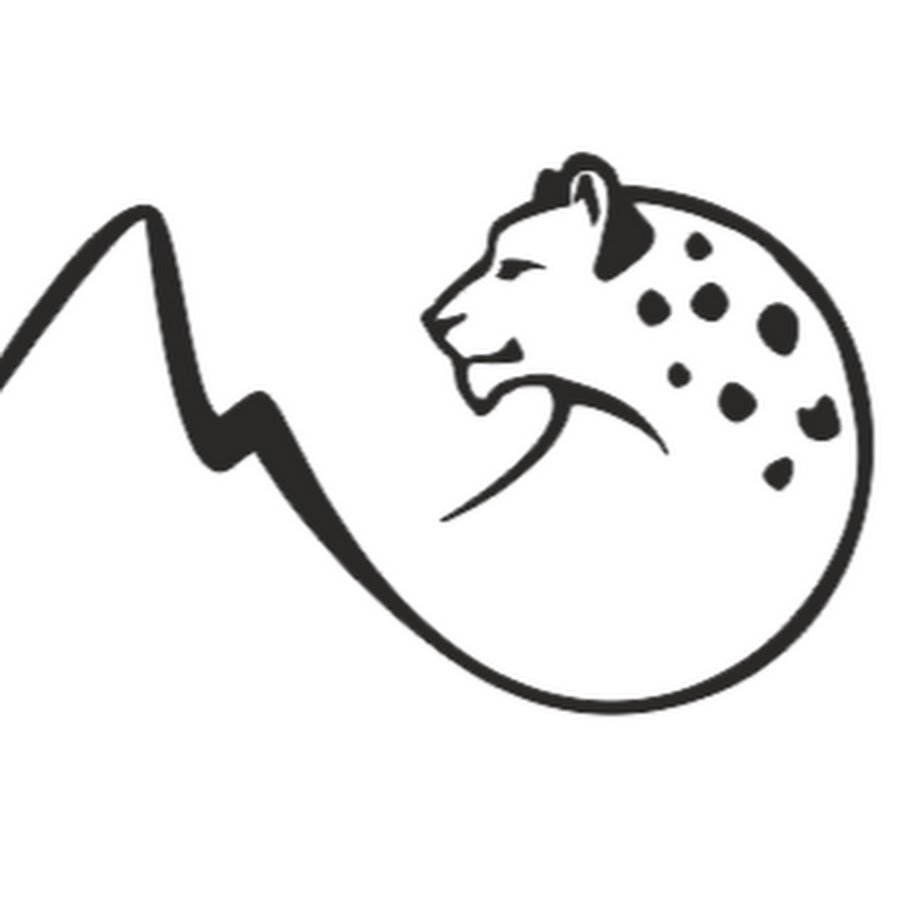 Плакат защита барса. Снежный Барс логотип. Снежный Барс вектор. Эмблемы с изображением животных. Ирбис силуэт.