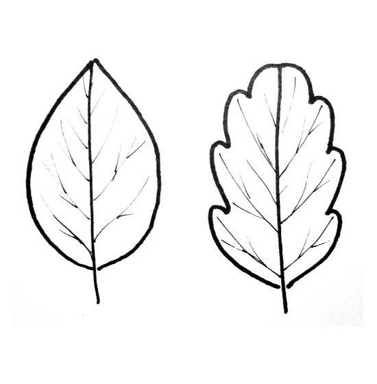 Листы 2 на 7. Рисунки листьев. Листья деревьев для вырезания. Трафареты "листья". Трафарет разных листьев.