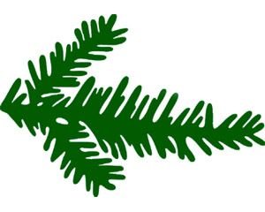 Еловая ветка силуэт