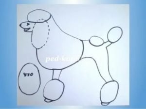 Аппликация пудель