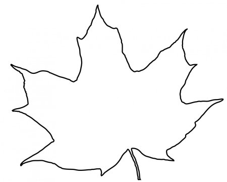 Шаблон лист кленовый (49 фото)