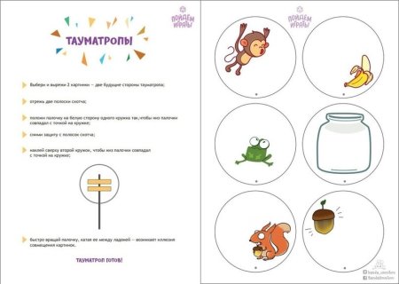 Игрушка Тауматроп