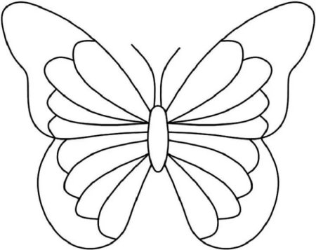 Шаблон бабочки (47 фото)