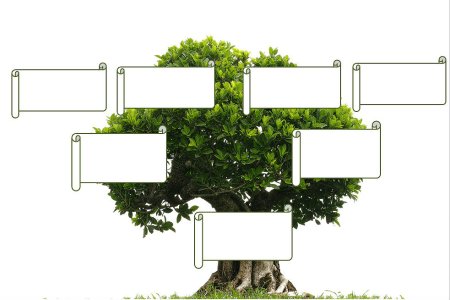 Генеалогическое Древо Family Tree
