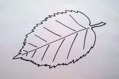 Лист березы из бумаги