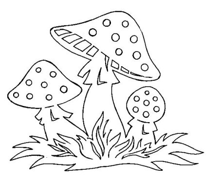 Гриб Mushroom Машрум