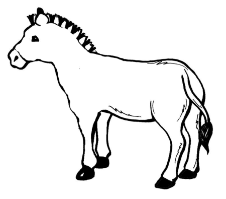 Зебра без полосок раскраска для детей