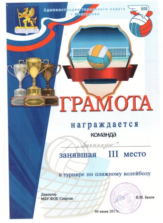 Диплом по волейболу