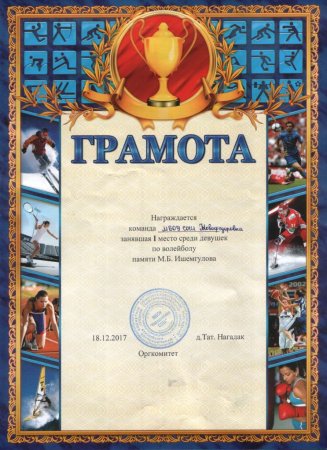 Рамка по волейболу