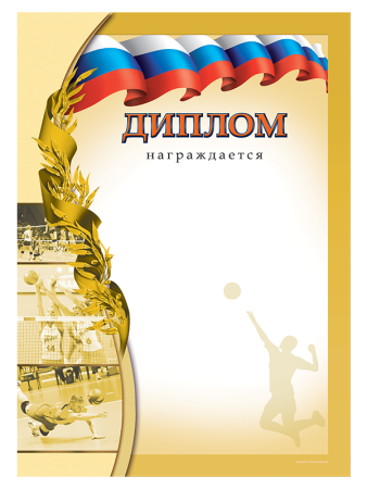 Сертификат по волейболу