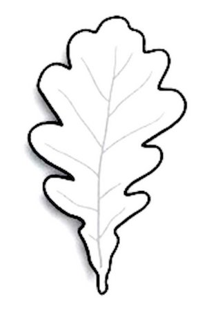 Шаблон лист дубовый (48 фото)
