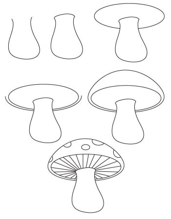 Шляпка для грибов раскраска