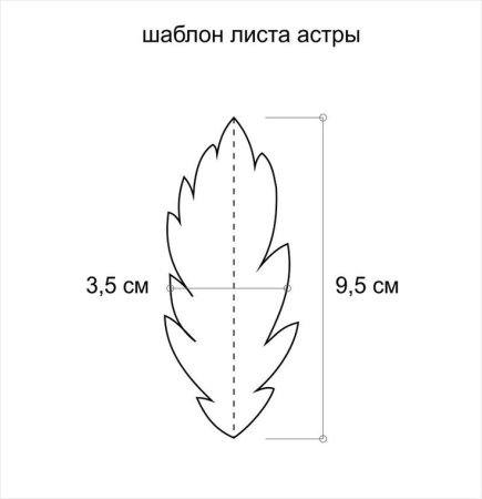 Лист ромашки трафарет