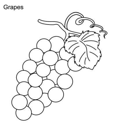 Шаблон гроздь винограда рисунок (44 фото)
