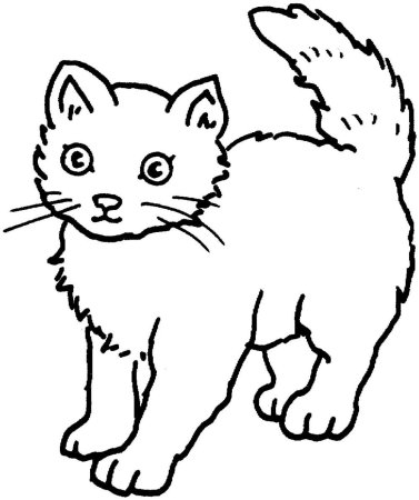 Раскраска кошечка