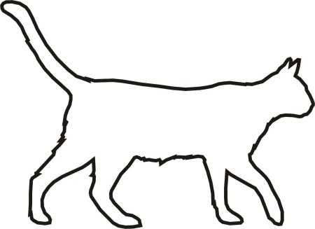 Шаблон кошки для рисования (47 фото)
