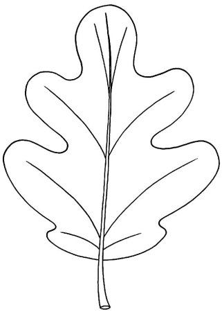 Шаблон лист дуба (49 фото)