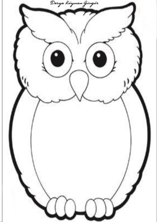 Сова сзади контур