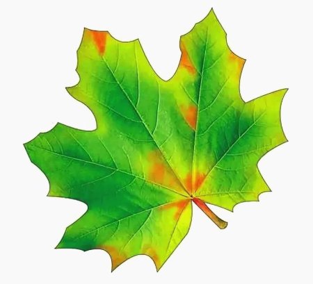 Шаблон цветные листья (49 фото)