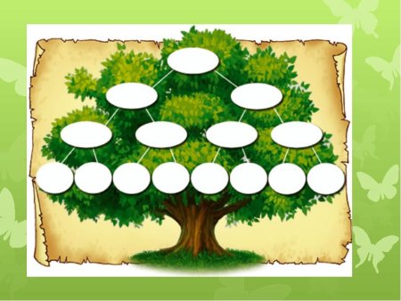 Генеалогическое Древо Family Tree