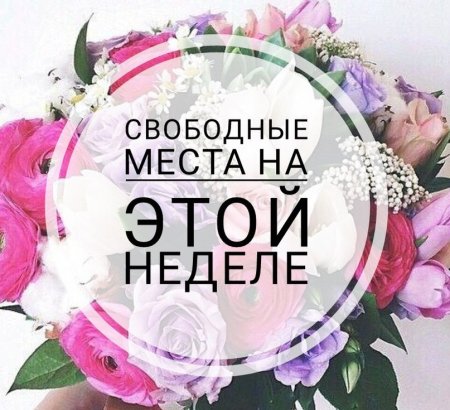 Свободные окошки для записи шаблон