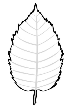Шаблон лист березы (39 фото)