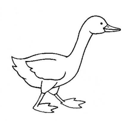 Гусь раскраска