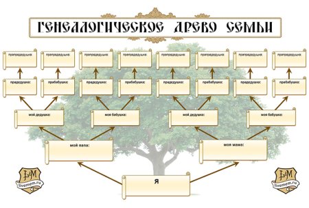 Схема генетического дерева