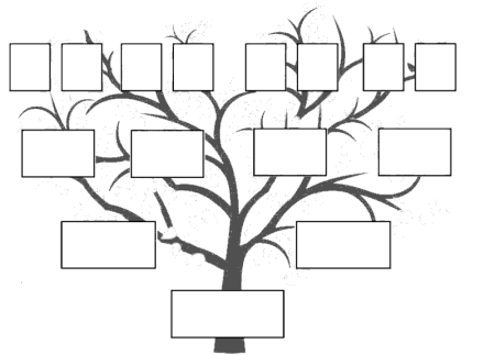 Шаблон родовое дерево для заполнения (48 фото)