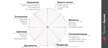 Колесо баланса жизни 12 сфер