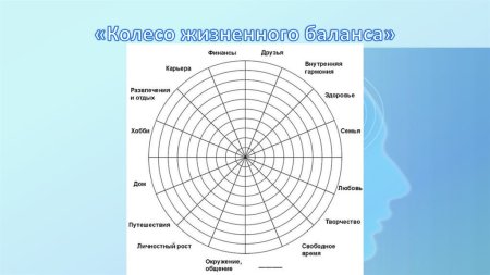 Колесо жизненного баланса 12 сфер
