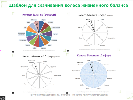 Колесо жизненного баланса Блиновская